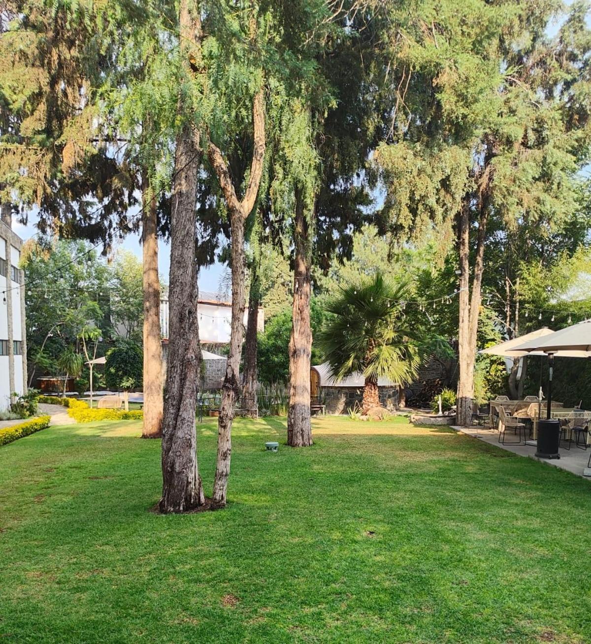 Hotel Boutique Camino Del Bosque By Rotamundos Cholula Esterno foto